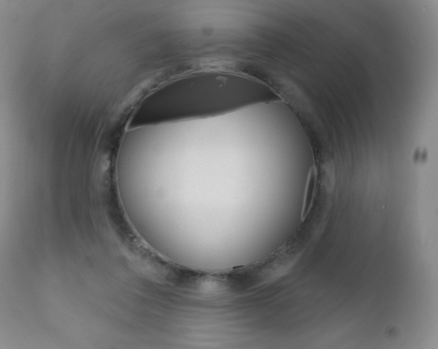 X0000111180308200907011038