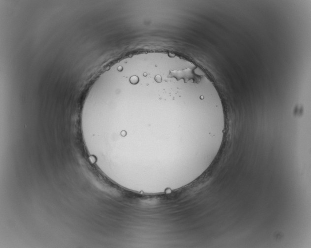 X0000111180309200907011038