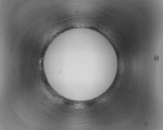 X0000111180310200907011038