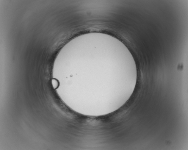 X0000111180311200907011038