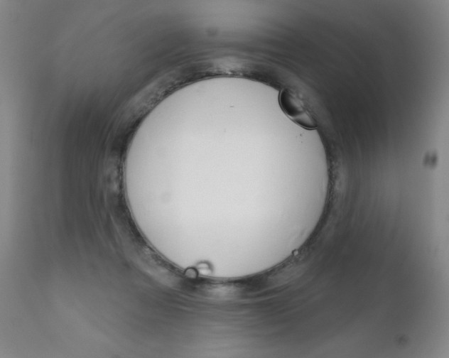 X0000111180313200907011038