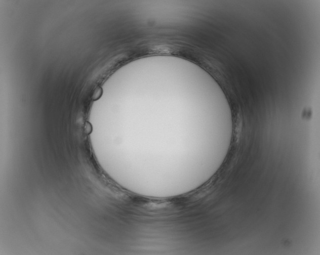 X0000111180314200907011038
