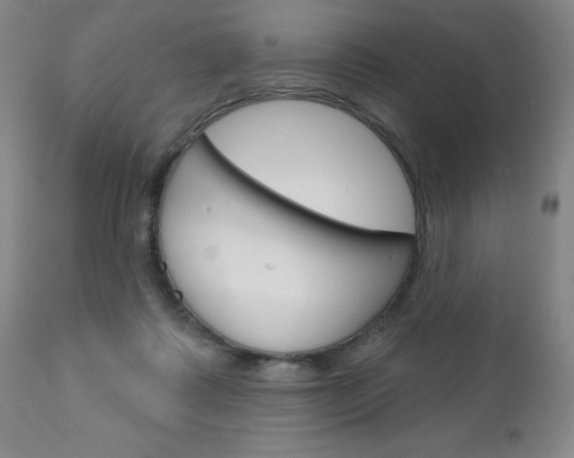 X0000111180315200907011038