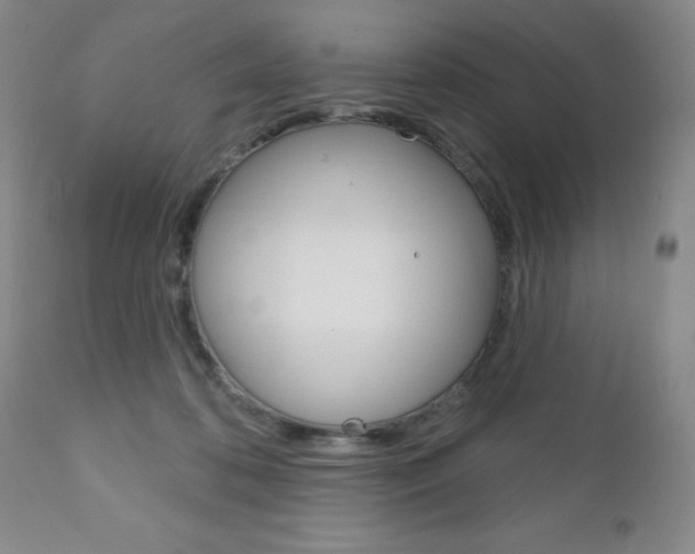 X0000111180316200907011038