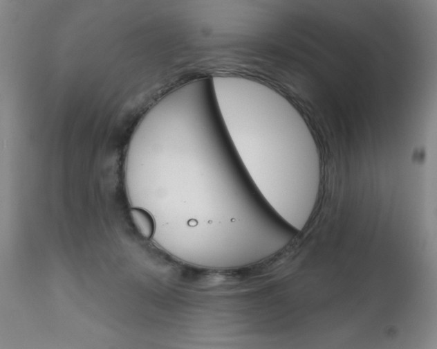 X0000111180319200907011038