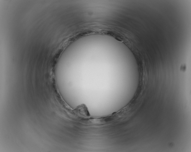 X0000111180320200907011038