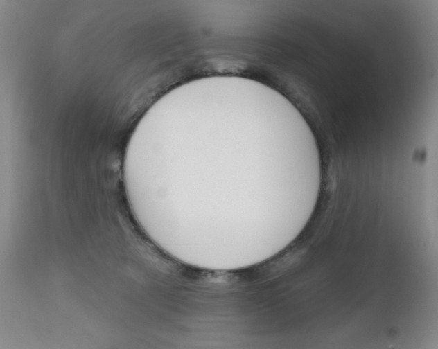 X0000111180321200907011038