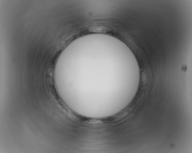 X0000111180322200907011038