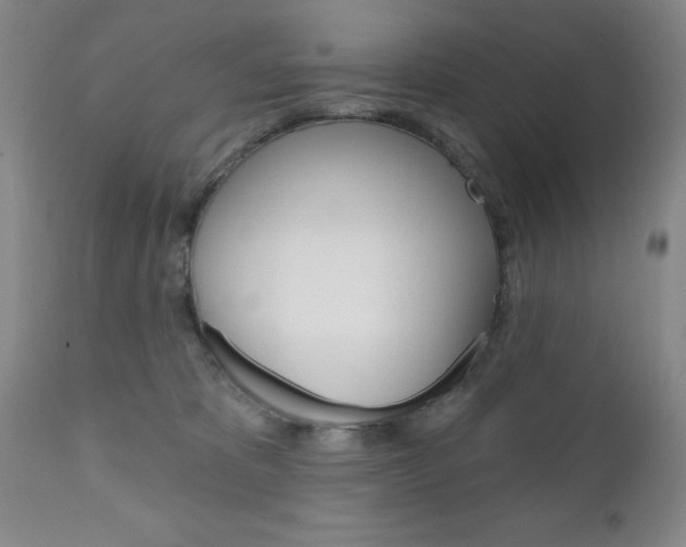 X0000111180325200907011038