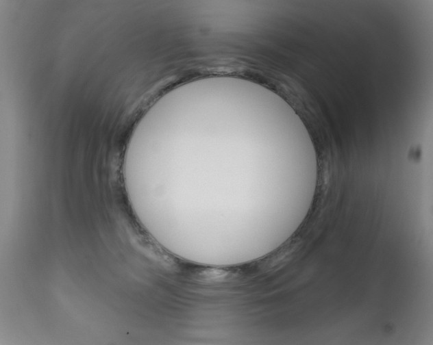 X0000111180326200907011038