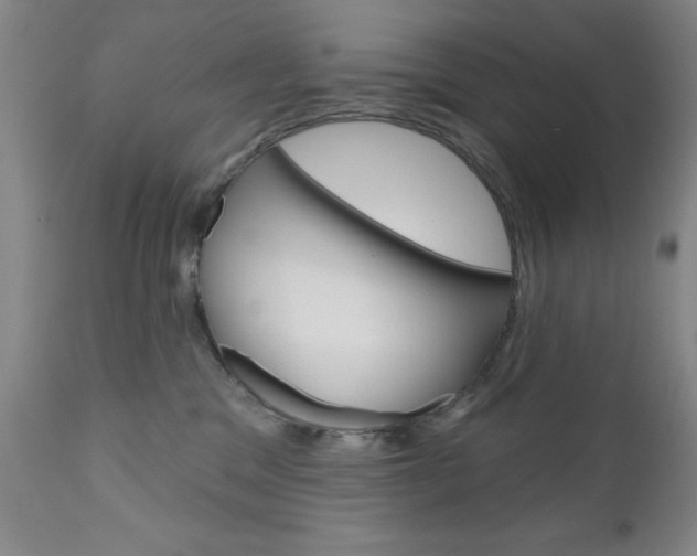 X0000111180329200907011038