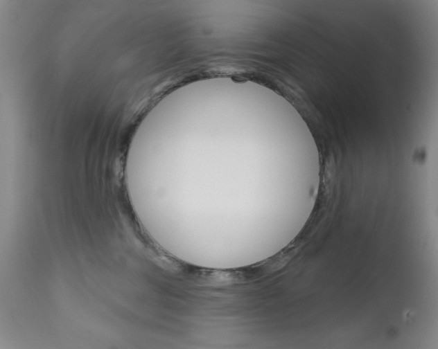 X0000111180330200907011038