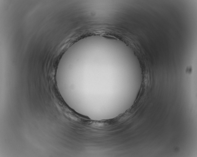 X0000111180332200907011038