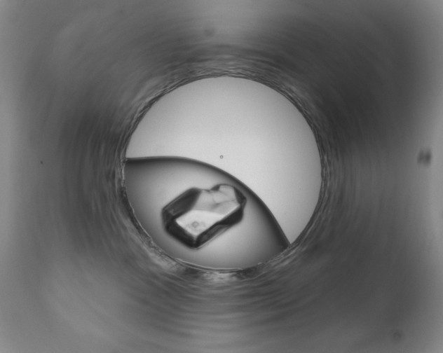 X0000111180333200907011038