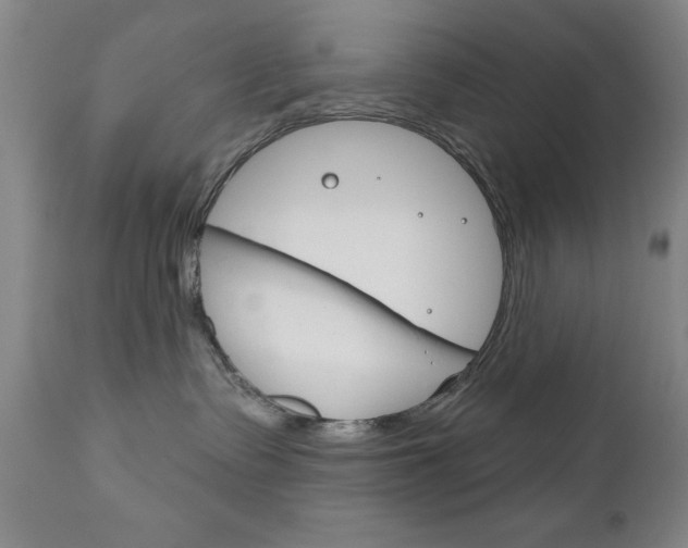 X0000111180335200907011038
