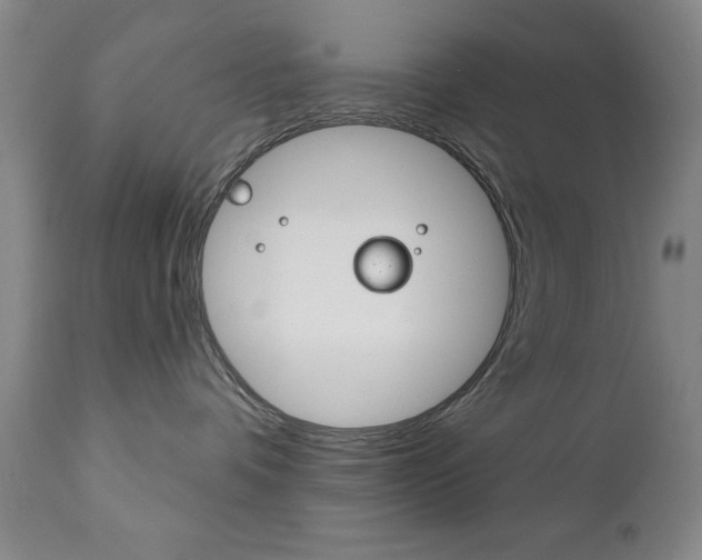 X0000111180336200907011038