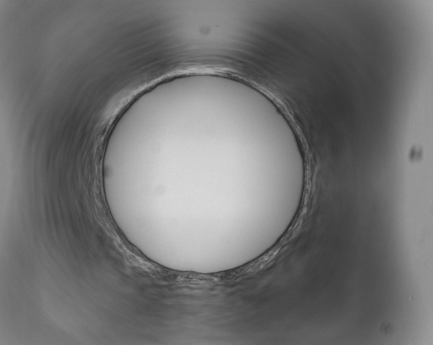 X0000111180337200907011037