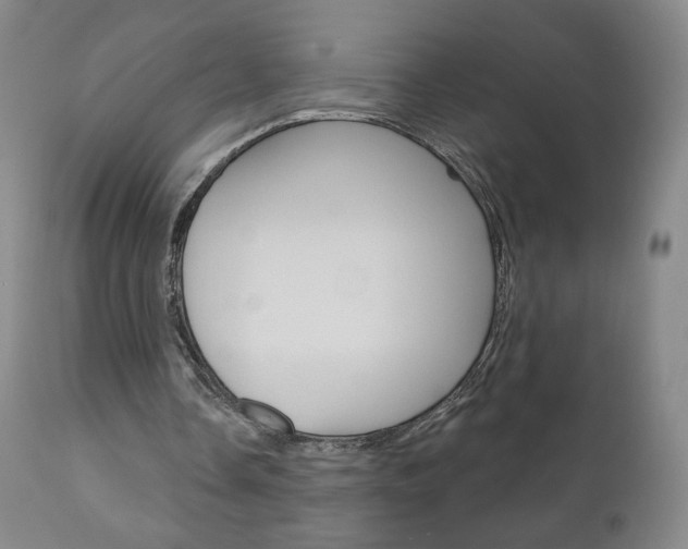 X0000111180338200907011037