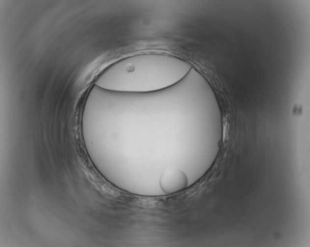 X0000111180339200907011037