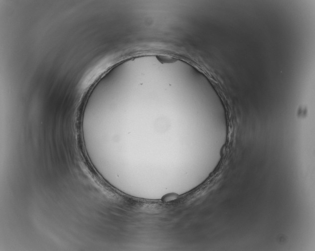 X0000111180341200907011037
