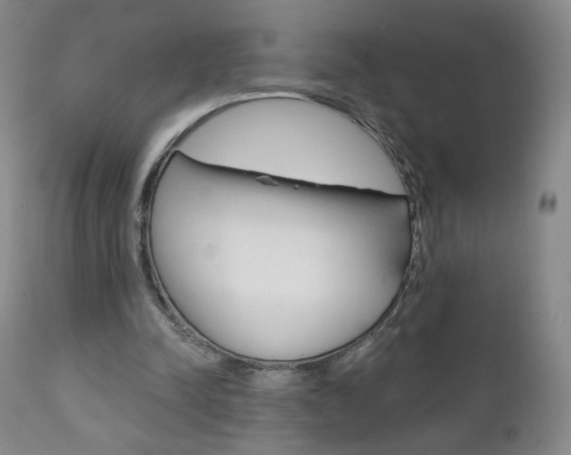 X0000111180342200907011037