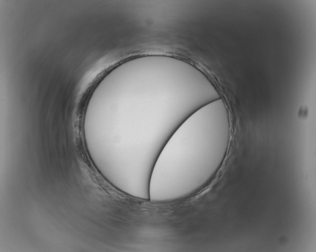 X0000111180343200907011037