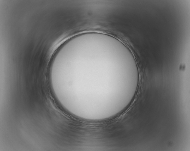 X0000111180344200907011037