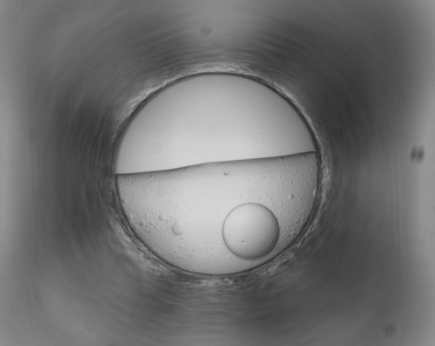 X0000111180345200907011037