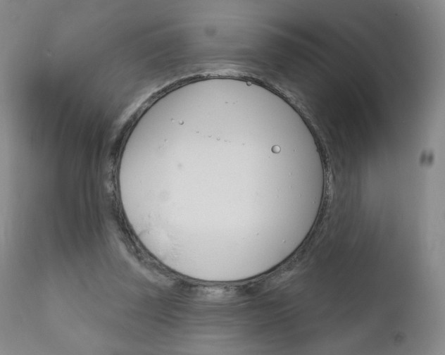 X0000111180347200907011037