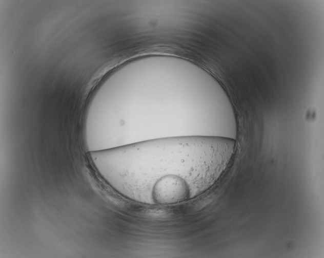 X0000111180349200907011037