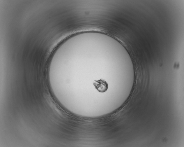 X0000111180350200907011037