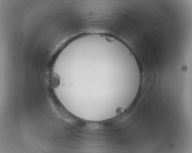X0000111180351200907011037