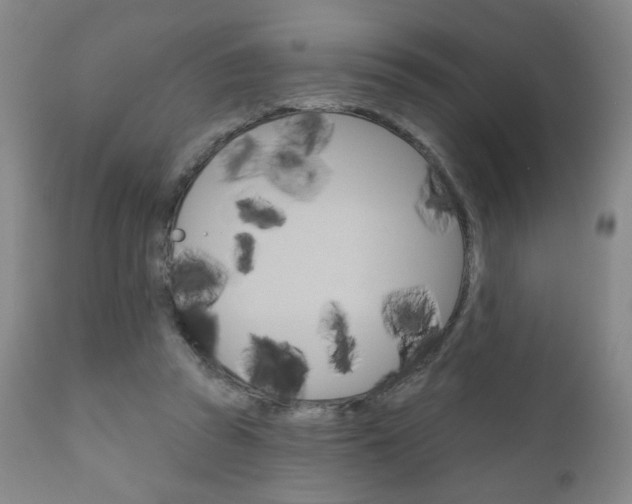 X0000111180353200907011037