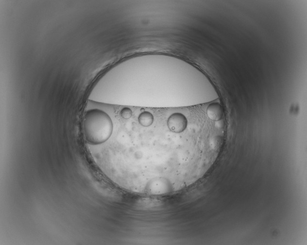 X0000111180354200907011037