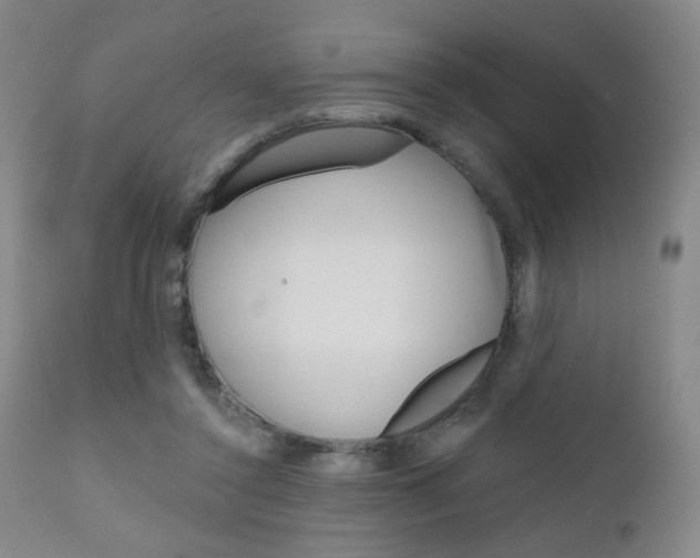 X0000111180356200907011037
