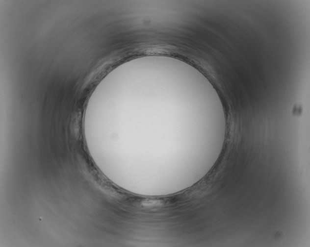 X0000111180357200907011037