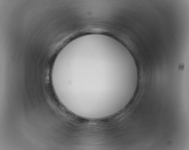 X0000111180358200907011037