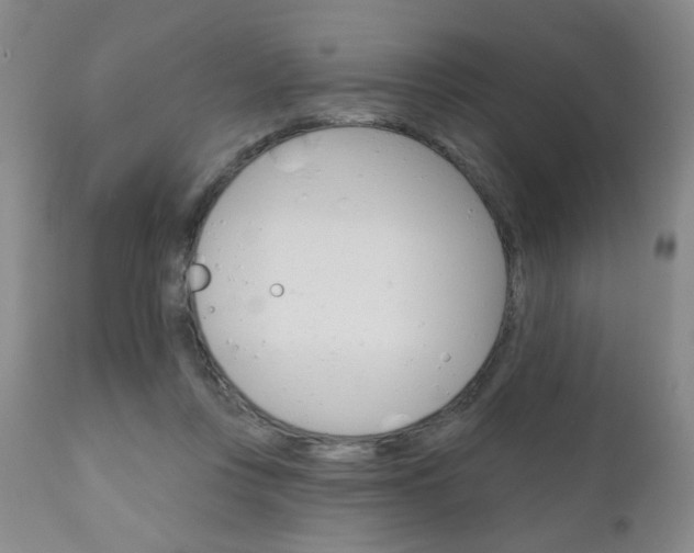 X0000111180359200907011037