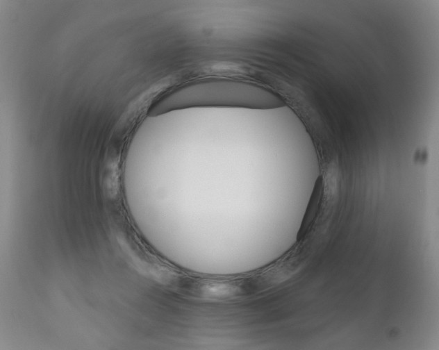 X0000111180360200907011037