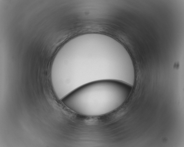 X0000111180362200907011037