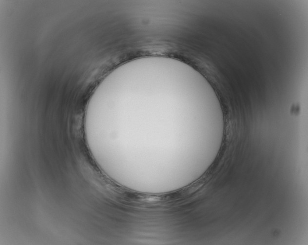 X0000111180365200907011037