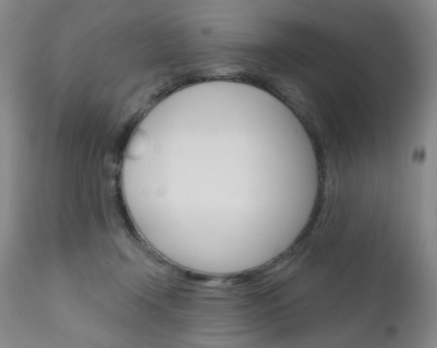 X0000111180366200907011037