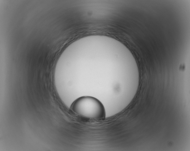 X0000111180368200907011037