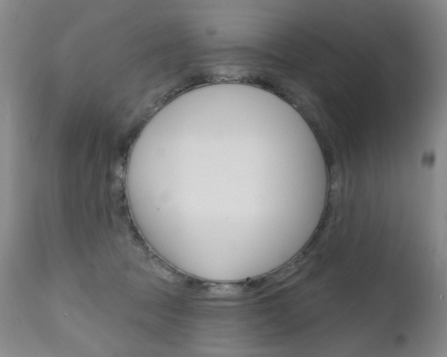 X0000111180369200907011037