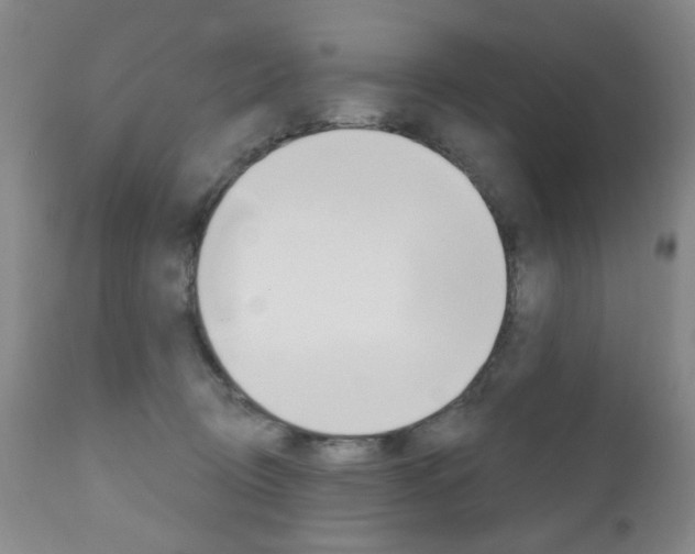 X0000111180370200907011037