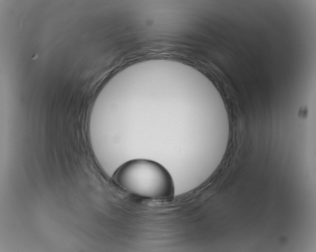 X0000111180372200907011037