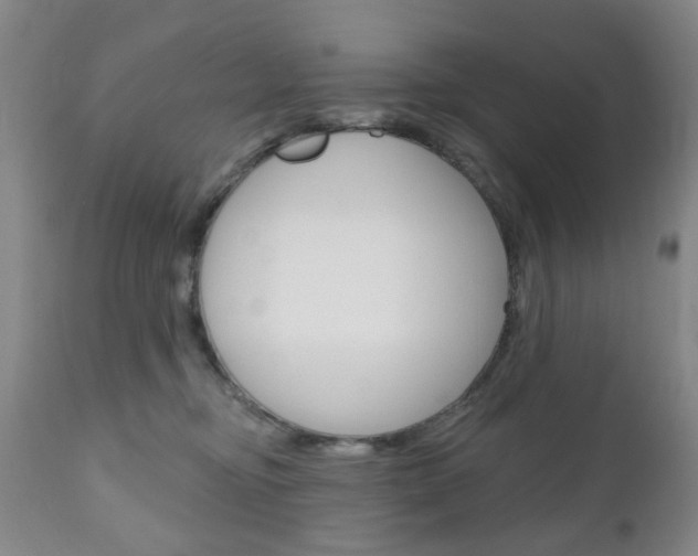 X0000111180374200907011038