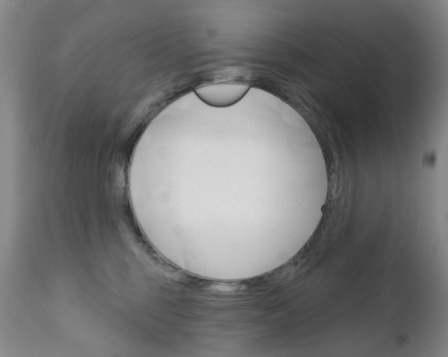 X0000111180375200907011038