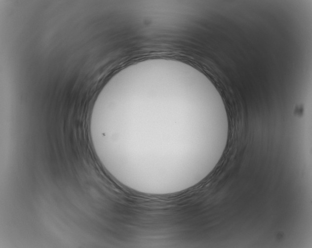 X0000111180376200907011038