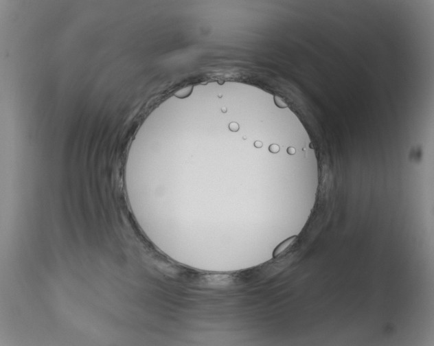 X0000111180377200907011038